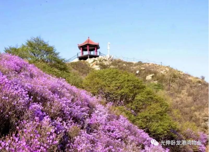 j9数字站(中国集团)公司官网