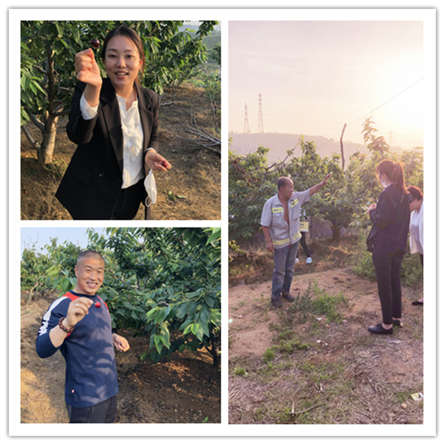 j9数字站(中国集团)公司官网