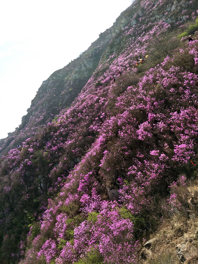 j9数字站(中国集团)公司官网