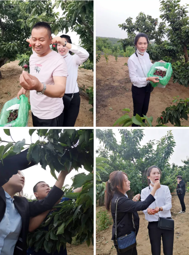 j9数字站(中国集团)公司官网