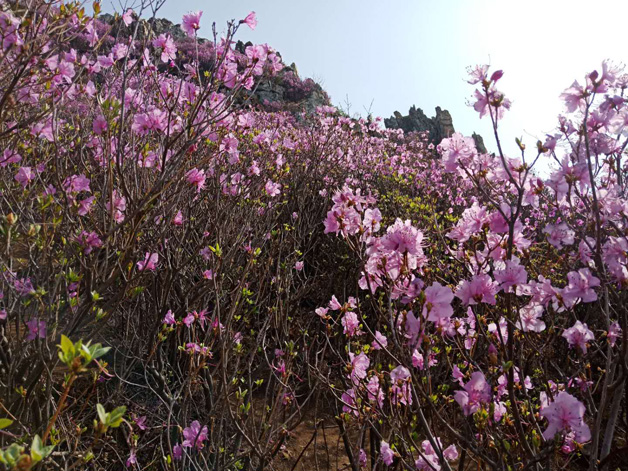 j9数字站(中国集团)公司官网