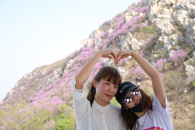 j9数字站(中国集团)公司官网