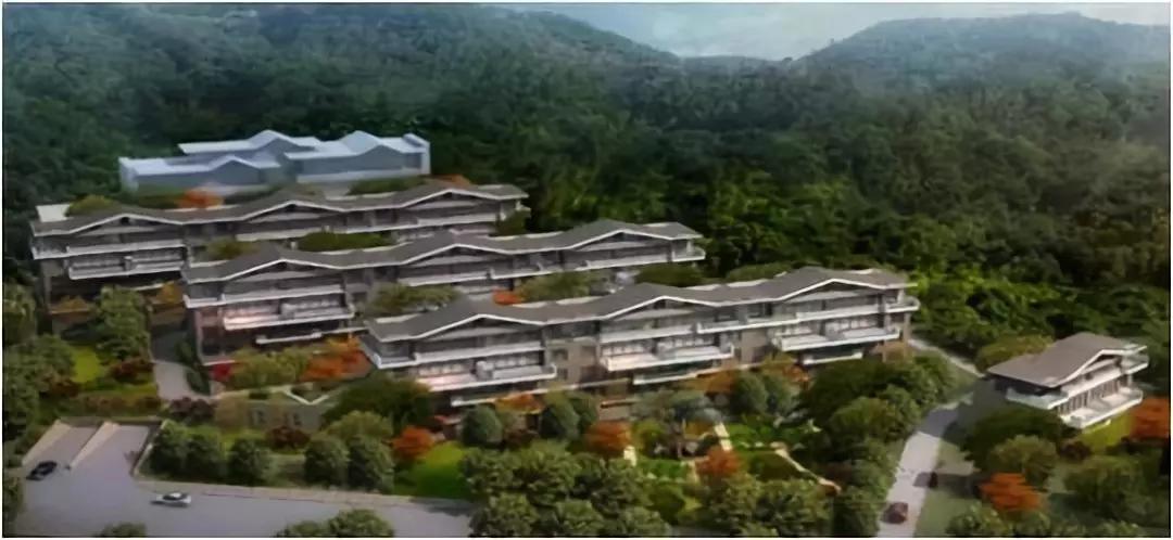 j9数字站(中国集团)公司官网