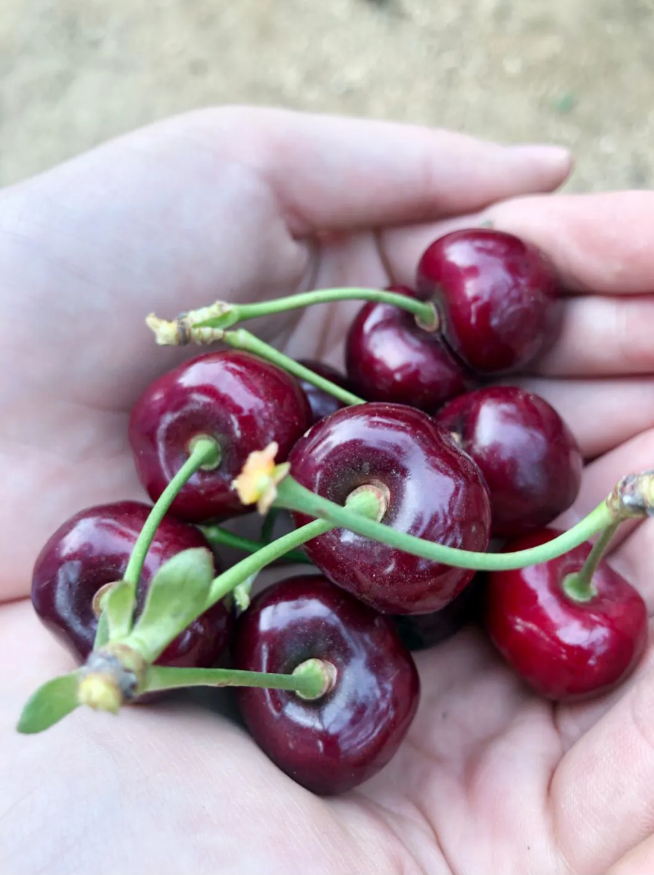 j9数字站(中国集团)公司官网