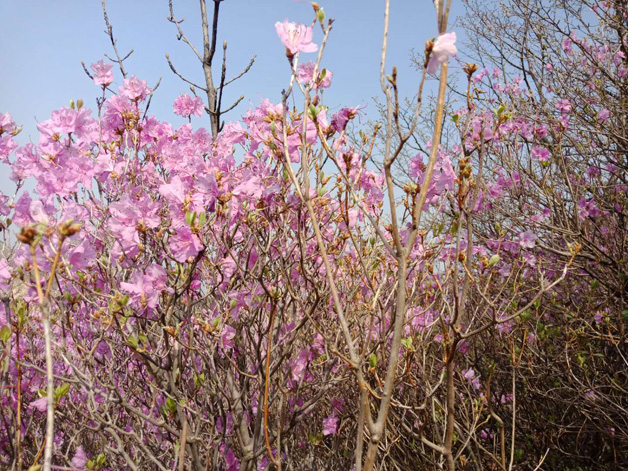 j9数字站(中国集团)公司官网